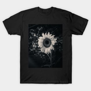 Sunflower in the Dark. Black and White Photograph T-Shirt